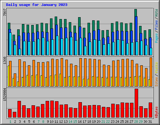 Daily usage for January 2023