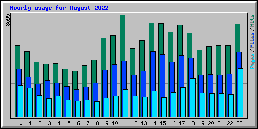 Hourly usage for August 2022