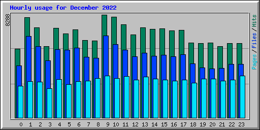 Hourly usage for December 2022