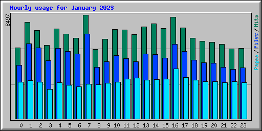 Hourly usage for January 2023